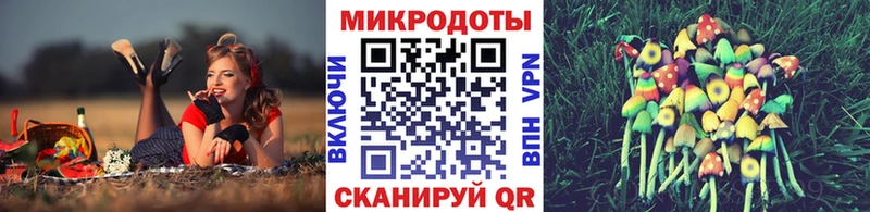 Псилоцибиновые грибы Psilocybine cubensis  цена   ОМГ ОМГ   Горняк 